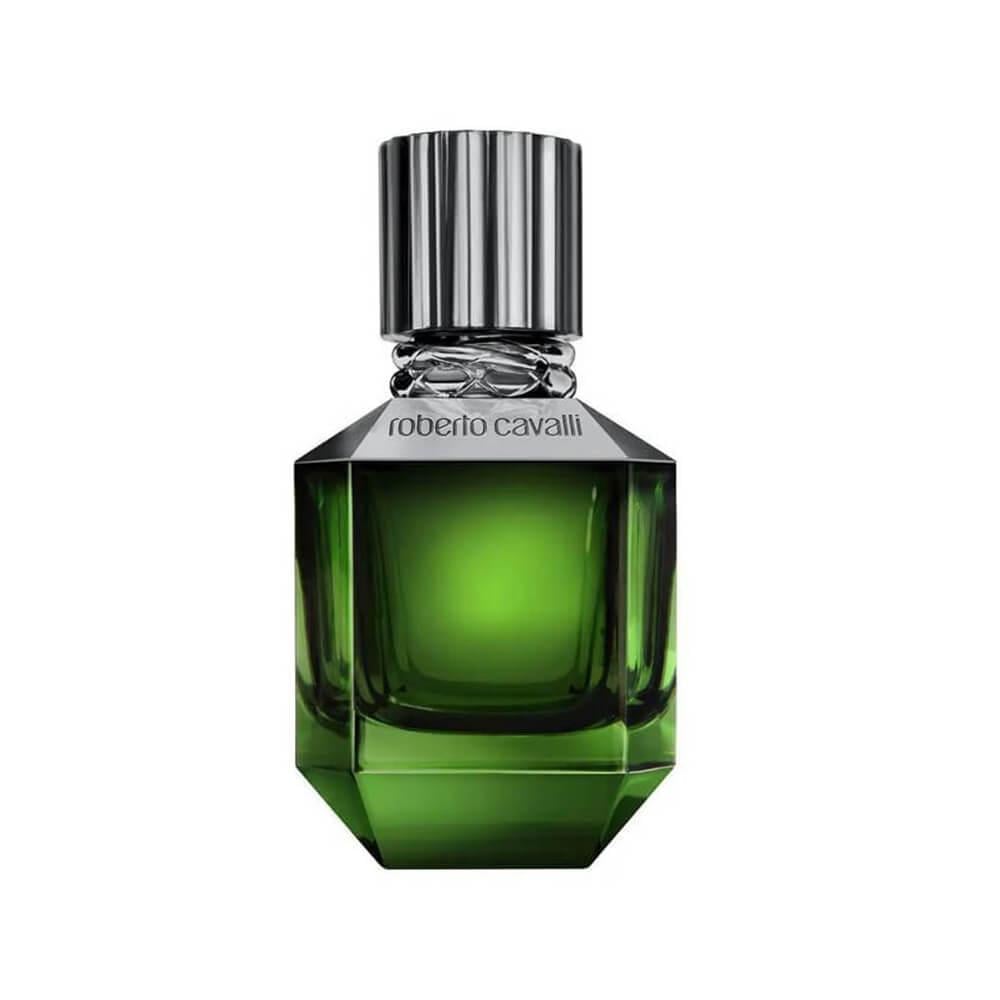 عطر روبرتو كافالي برادايس فوند للرجال - او دى تواليت 75 مل